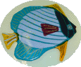 Carol Hall fish