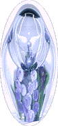 David Lotton crystal