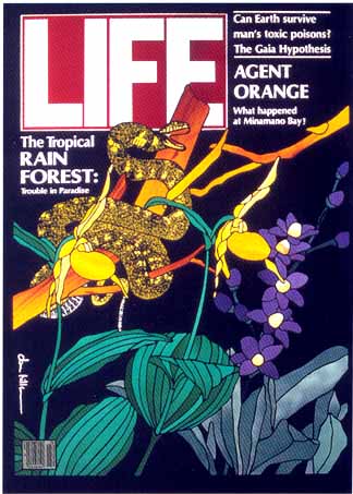 The Tropical Rain Forest